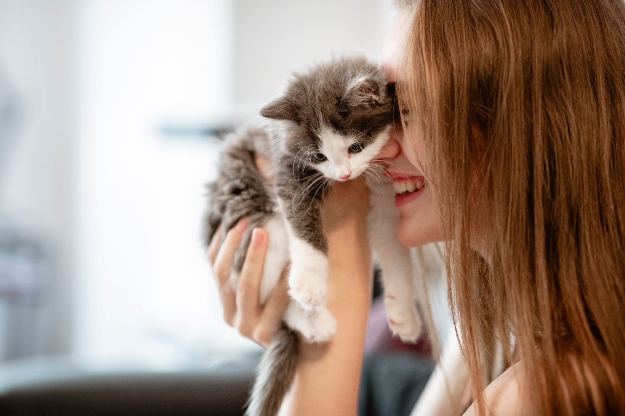 A woman holds a kitten.