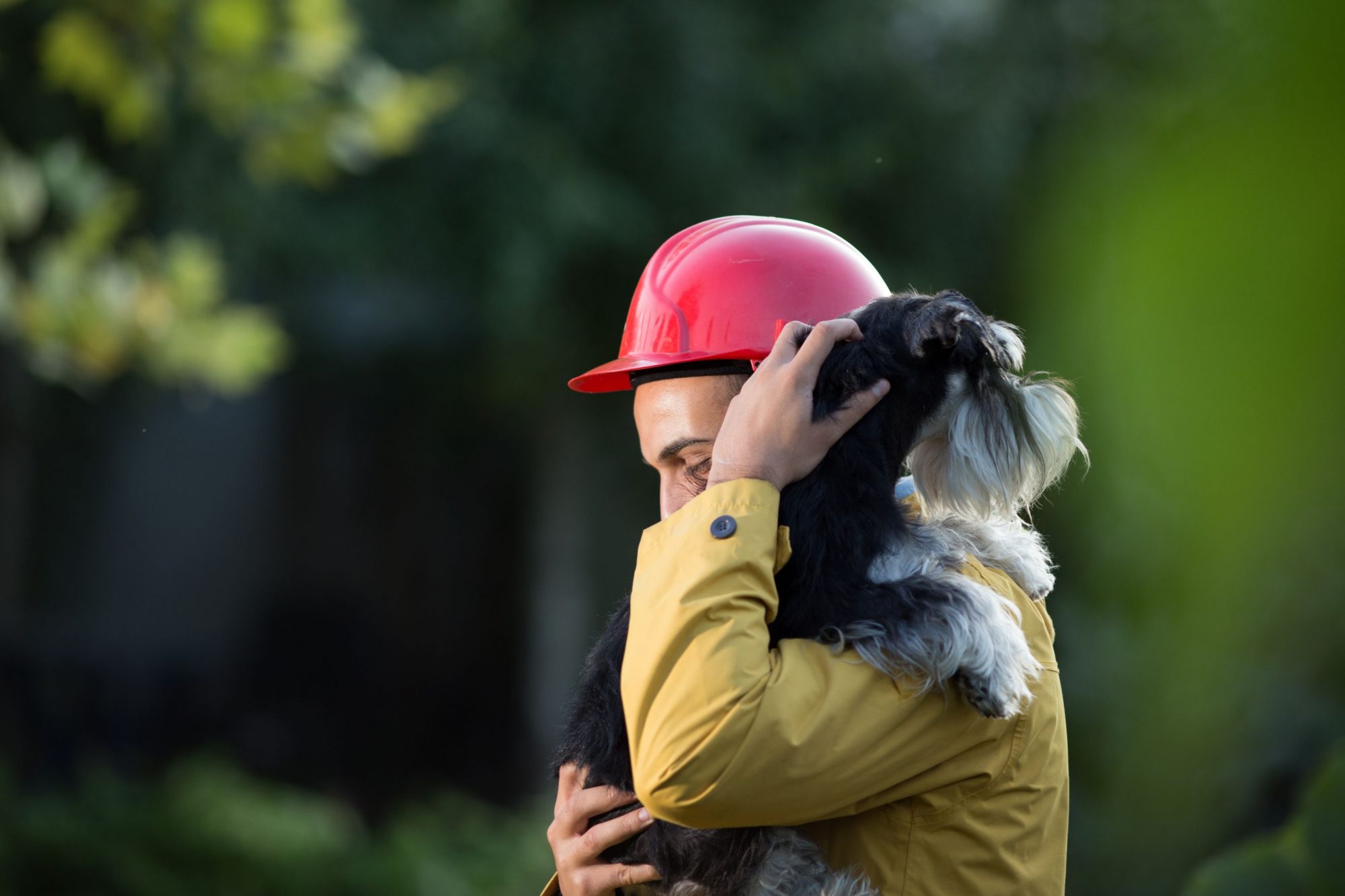 Pet emergency preparedness: A man saves a dog during an emergency.