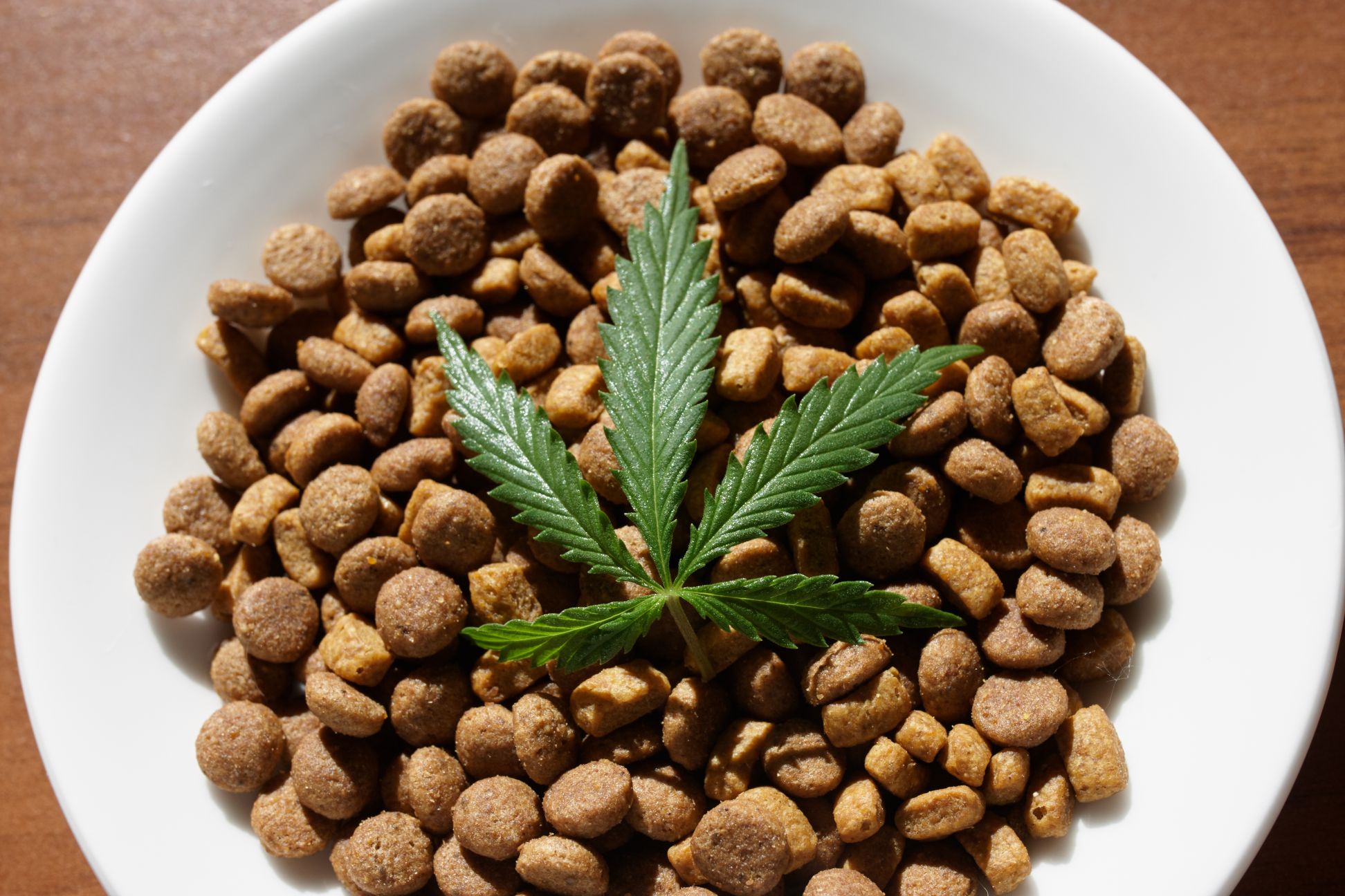 Pot and pets.