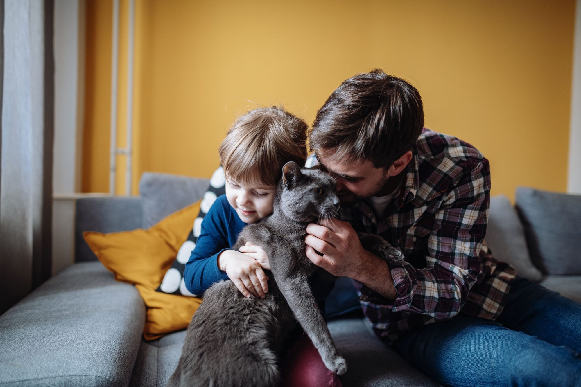 A father and son snuggle with their grey cat.