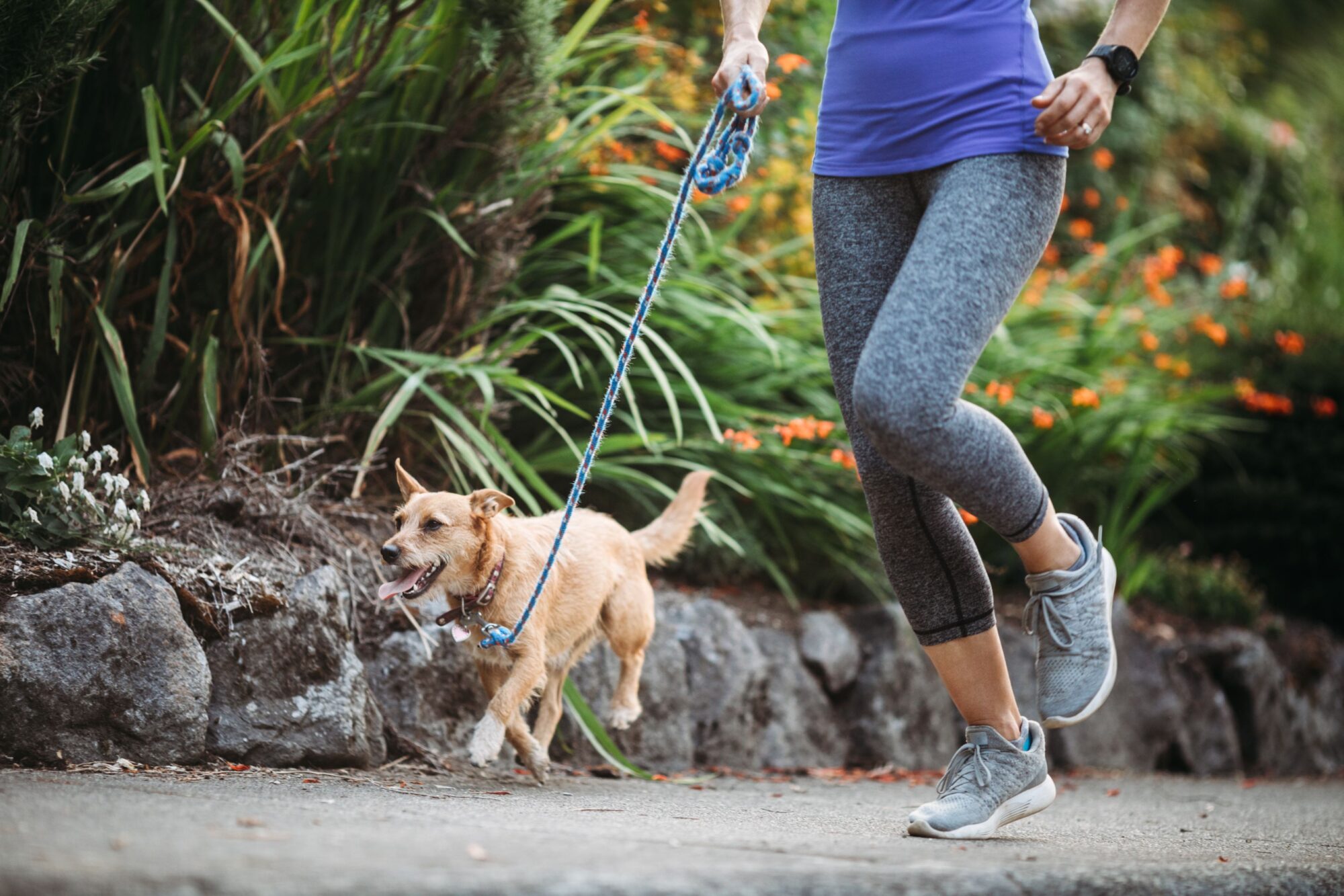 Jogging with dog.