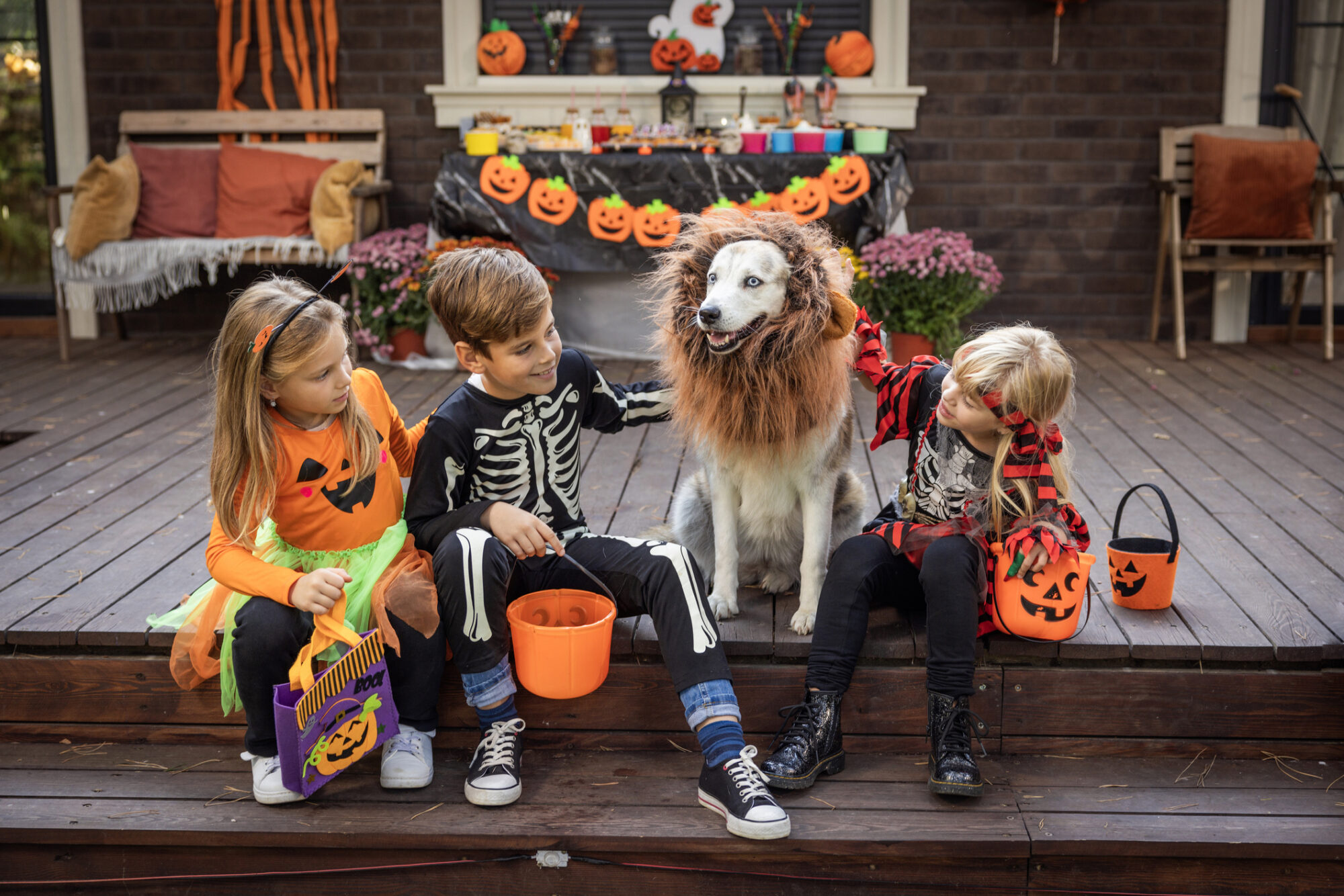 Halloween safety tips for pet owners.