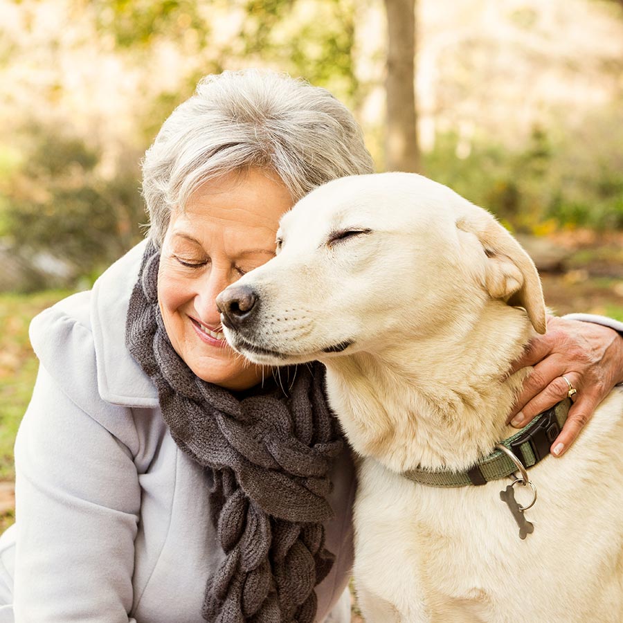Older dog with owner Older dog with owner