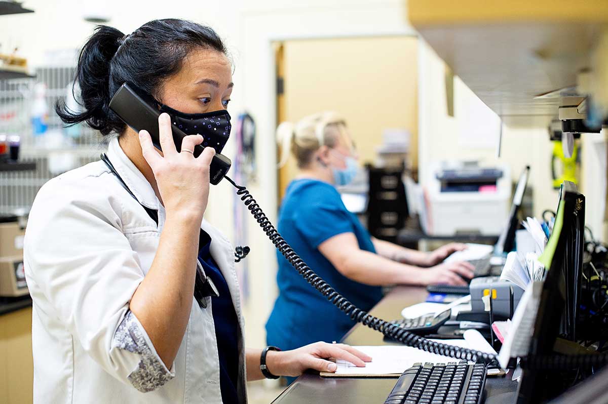 Our staff keeping in touch with clients Our staff keeping in touch with clients