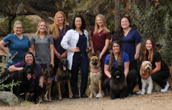 MarketPlace Veterinary Hospital MarketPlace Veterinary Hospital