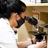 El Dorado Hills veterinarian on microscope